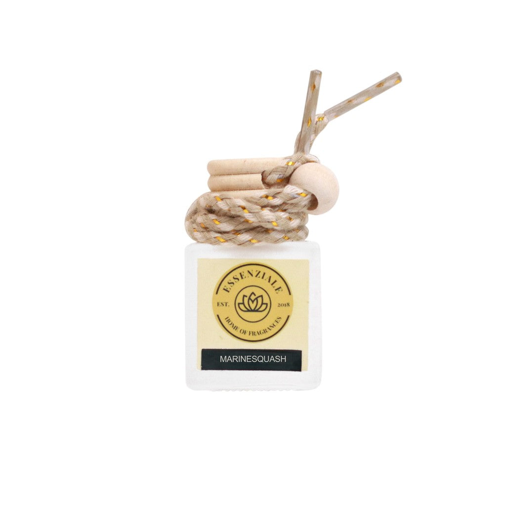 Hanging Diffuser for Room and Car 10 ml
